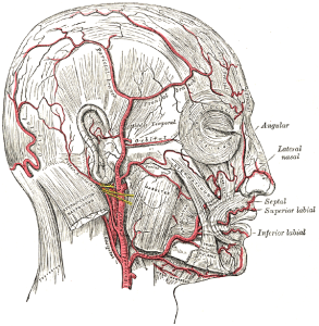 Long Island Physical Therapy for facial nerve issues