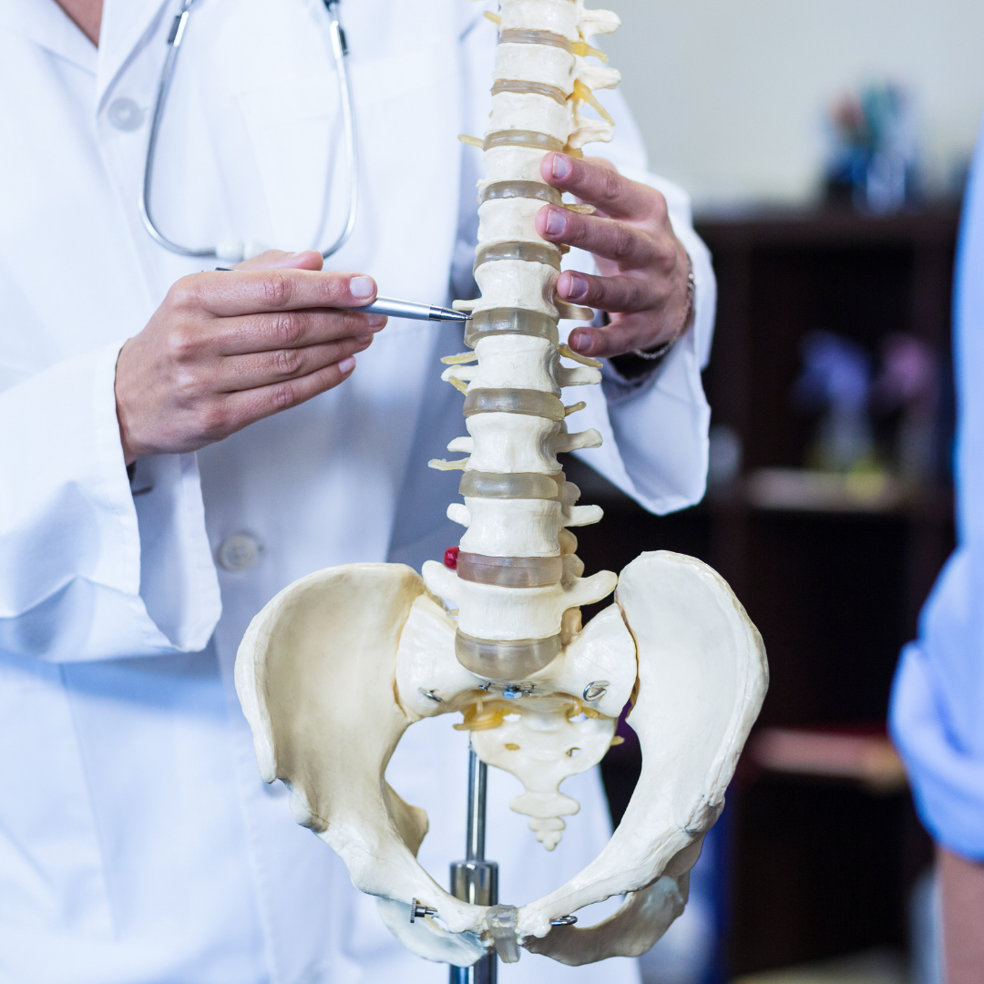 Best Spine Physical Therapy Near St. James: PT For Spine